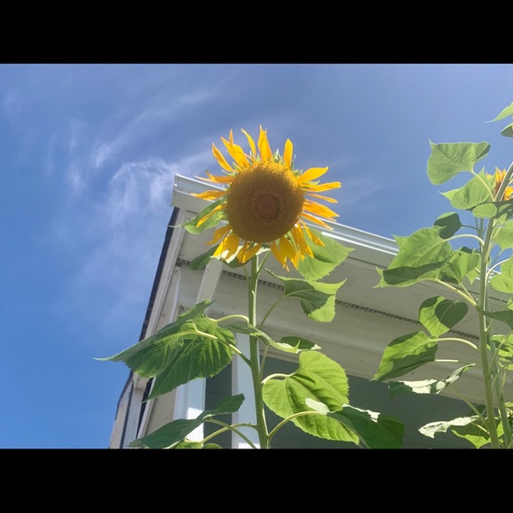 Meet your Posher, Nan73alana - Picture 1 of 1